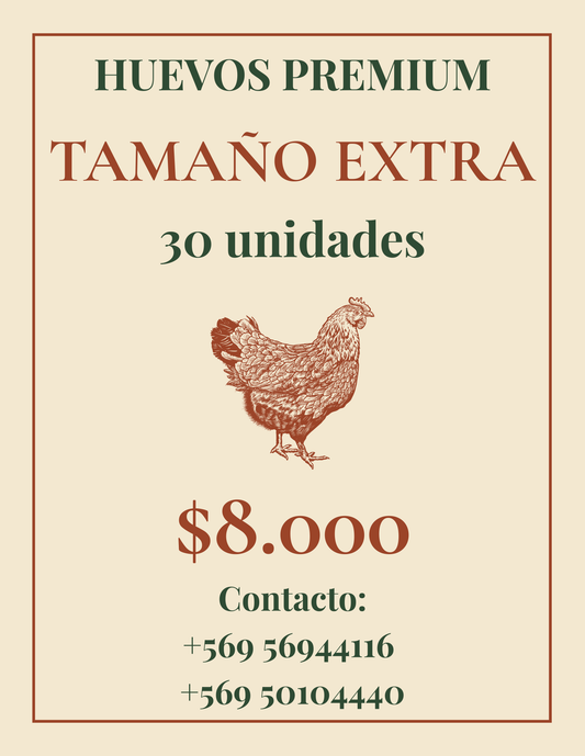 Producto prueba